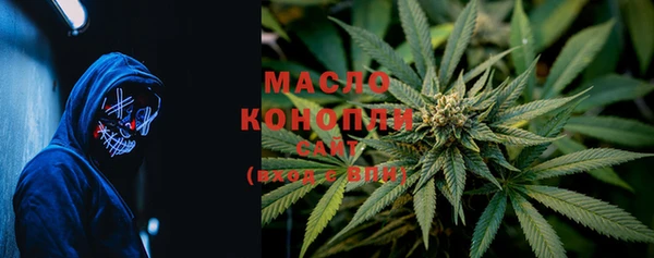 шишки Белокуриха