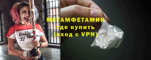 шишки Белокуриха