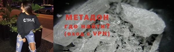 шишки Белокуриха