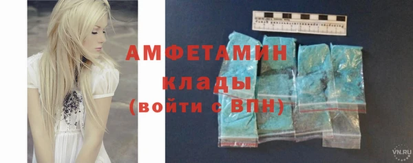 шишки Белокуриха