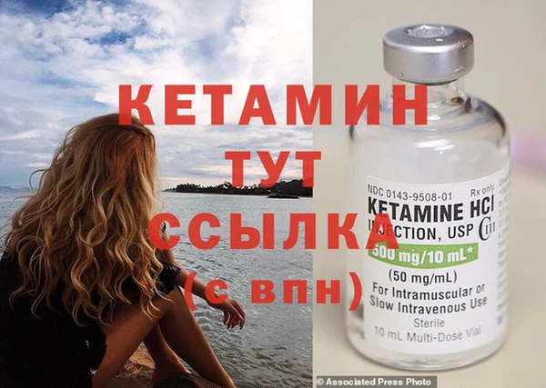 шишки Белокуриха