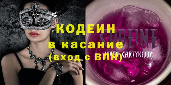 шишки Белокуриха