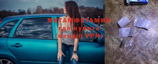 шишки Белокуриха