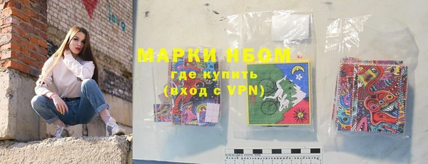 шишки Белокуриха
