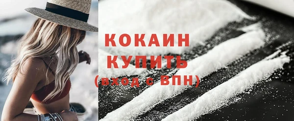 шишки Белокуриха